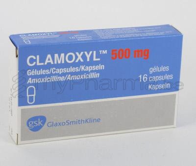 Amoxicilline Generique Du Clamoxyl